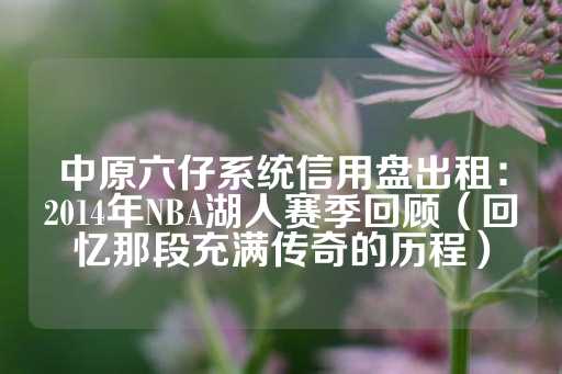 中原六仔系统信用盘出租：2014年NBA湖人赛季回顾（回忆那段充满传奇的历程）