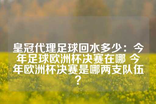 皇冠代理足球回水多少：今年足球欧洲杯决赛在哪 今年欧洲杯决赛是哪两支队伍？-第1张图片-皇冠信用盘出租