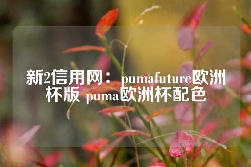 新2信用网：pumafuture欧洲杯版 puma欧洲杯配色