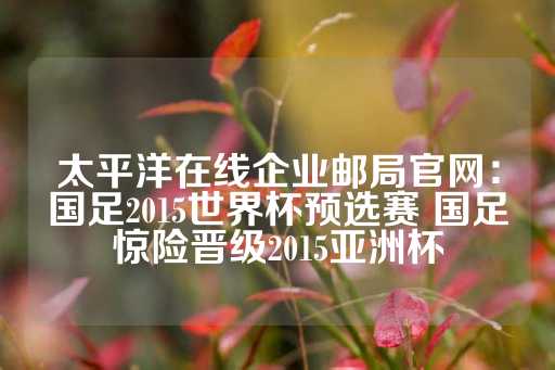 太平洋在线企业邮局官网：国足2015世界杯预选赛 国足惊险晋级2015亚洲杯-第1张图片-皇冠信用盘出租