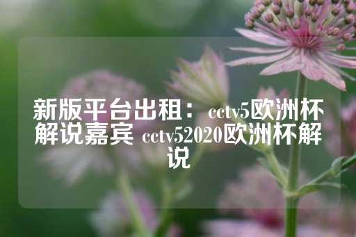 新版平台出租：cctv5欧洲杯解说嘉宾 cctv52020欧洲杯解说-第1张图片-皇冠信用盘出租