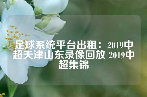 足球系统平台出租：2019中超天津山东录像回放 2019中超集锦