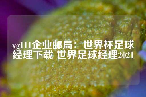 xg111企业邮局：世界杯足球经理下载 世界足球经理2021