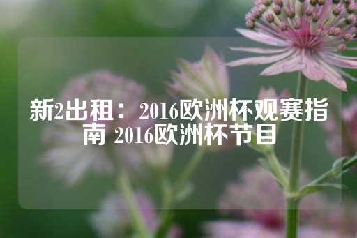 新2出租：2016欧洲杯观赛指南 2016欧洲杯节目