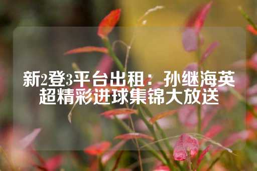 新2登3平台出租：孙继海英超精彩进球集锦大放送-第1张图片-皇冠信用盘出租