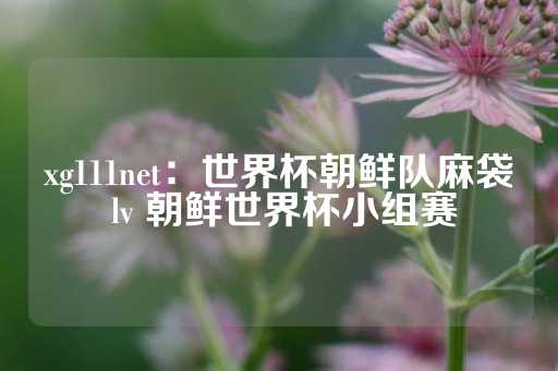 xg111net：世界杯朝鲜队麻袋 lv 朝鲜世界杯小组赛-第1张图片-皇冠信用盘出租