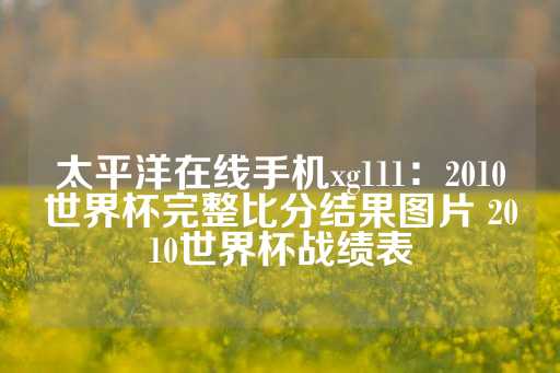 太平洋在线手机xg111：2010世界杯完整比分结果图片 2010世界杯战绩表