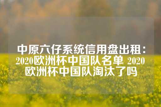 中原六仔系统信用盘出租：2020欧洲杯中国队名单 2020欧洲杯中国队淘汰了吗-第1张图片-皇冠信用盘出租