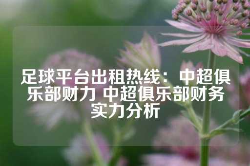 足球平台出租热线：中超俱乐部财力 中超俱乐部财务实力分析