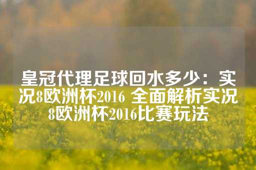 皇冠代理足球回水多少：实况8欧洲杯2016 全面解析实况8欧洲杯2016比赛玩法