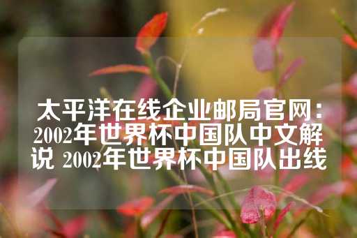 太平洋在线企业邮局官网：2002年世界杯中国队中文解说 2002年世界杯中国队出线