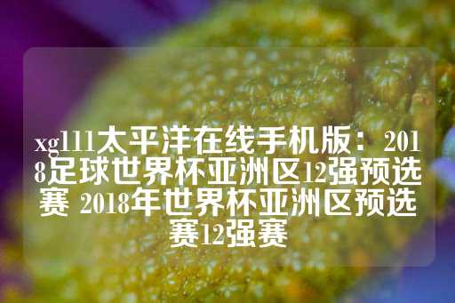 xg111太平洋在线手机版：2018足球世界杯亚洲区12强预选赛 2018年世界杯亚洲区预选赛12强赛