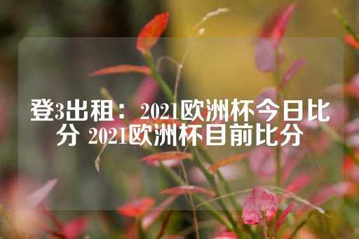 登3出租：2021欧洲杯今日比分 2021欧洲杯目前比分