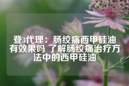 登3代理：肠绞痛西甲硅油有效果吗 了解肠绞痛治疗方法中的西甲硅油-第1张图片-皇冠信用盘出租