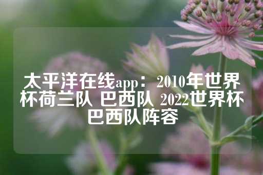 太平洋在线app：2010年世界杯荷兰队 巴西队 2022世界杯巴西队阵容-第1张图片-皇冠信用盘出租