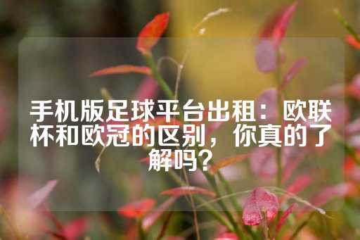 手机版足球平台出租：欧联杯和欧冠的区别，你真的了解吗？-第1张图片-皇冠信用盘出租