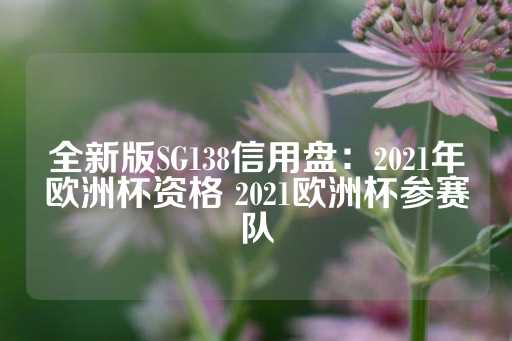 全新版SG138信用盘：2021年欧洲杯资格 2021欧洲杯参赛队