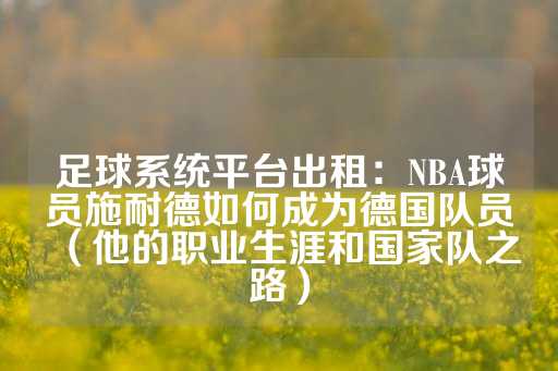 足球系统平台出租：NBA球员施耐德如何成为德国队员（他的职业生涯和国家队之路）-第1张图片-皇冠信用盘出租