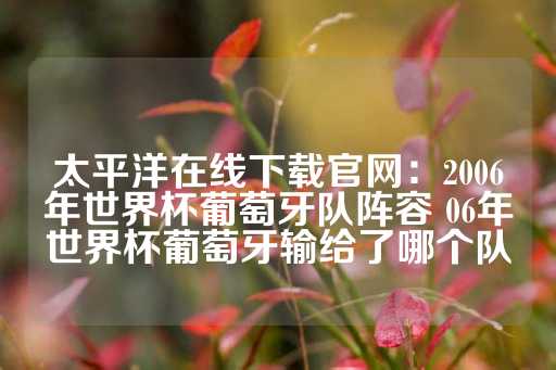 太平洋在线下载官网：2006年世界杯葡萄牙队阵容 06年世界杯葡萄牙输给了哪个队-第1张图片-皇冠信用盘出租