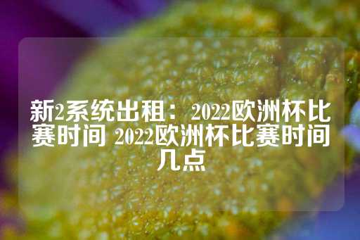 新2系统出租：2022欧洲杯比赛时间 2022欧洲杯比赛时间几点