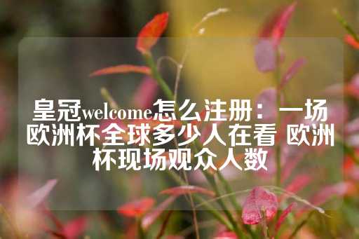 皇冠welcome怎么注册：一场欧洲杯全球多少人在看 欧洲杯现场观众人数-第1张图片-皇冠信用盘出租