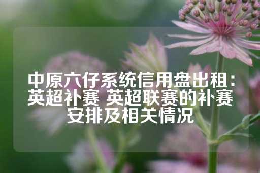 中原六仔系统信用盘出租：英超补赛 英超联赛的补赛安排及相关情况