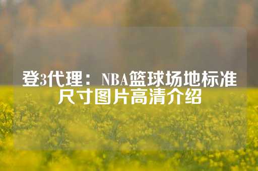 登3代理：NBA篮球场地标准尺寸图片高清介绍-第1张图片-皇冠信用盘出租