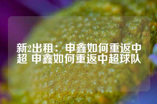 新2出租：申鑫如何重返中超 申鑫如何重返中超球队