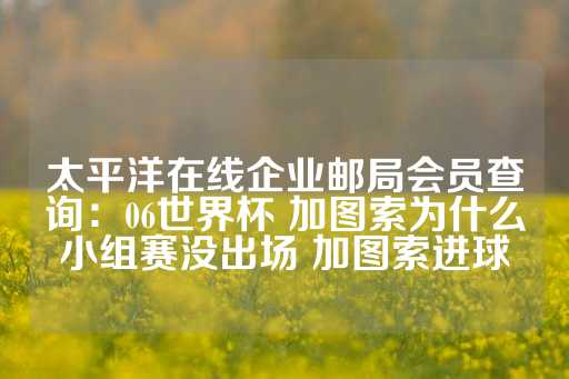 太平洋在线企业邮局会员查询：06世界杯 加图索为什么小组赛没出场 加图索进球