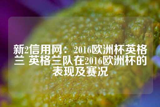 新2信用网：2016欧洲杯英格兰 英格兰队在2016欧洲杯的表现及赛况