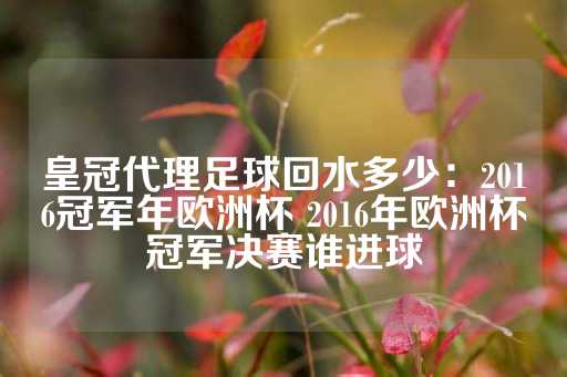 皇冠代理足球回水多少：2016冠军年欧洲杯 2016年欧洲杯冠军决赛谁进球