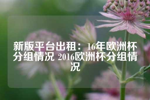 新版平台出租：16年欧洲杯分组情况 2016欧洲杯分组情况