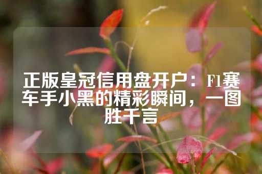 正版皇冠信用盘开户：F1赛车手小黑的精彩瞬间，一图胜千言