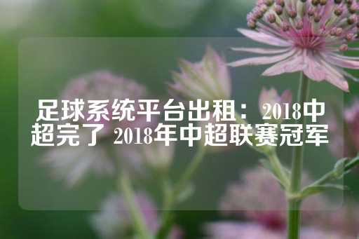 足球系统平台出租：2018中超完了 2018年中超联赛冠军