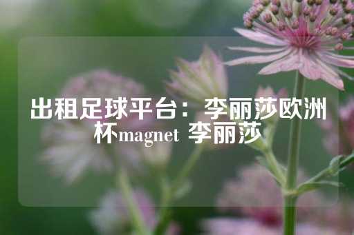 出租足球平台：李丽莎欧洲杯magnet 李丽莎