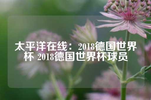 太平洋在线：2018德国世界杯 2018德国世界杯球员-第1张图片-皇冠信用盘出租