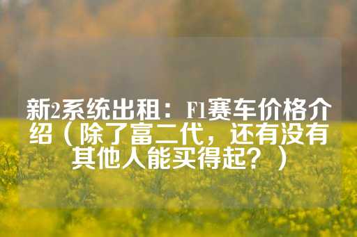 新2系统出租：F1赛车价格介绍（除了富二代，还有没有其他人能买得起？）