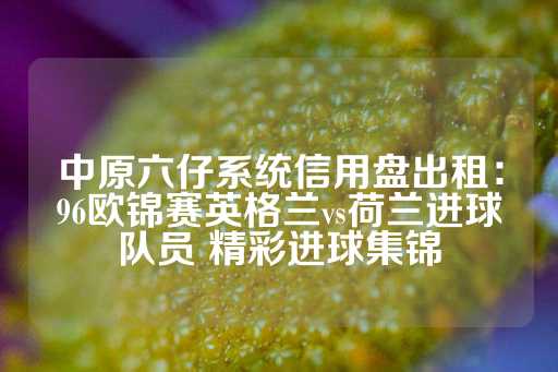 中原六仔系统信用盘出租：96欧锦赛英格兰vs荷兰进球队员 精彩进球集锦