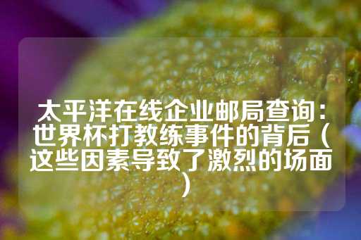 太平洋在线企业邮局查询：世界杯打教练事件的背后（这些因素导致了激烈的场面）