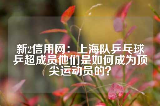 新2信用网：上海队乒乓球乒超成员他们是如何成为顶尖运动员的？