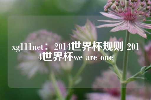 xg111net：2014世界杯规则 2014世界杯we are one