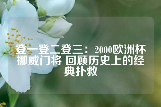 登一登二登三：2000欧洲杯挪威门将 回顾历史上的经典扑救