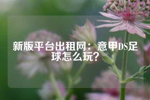 新版平台出租网：意甲DS足球怎么玩？