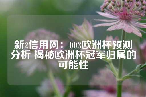 新2信用网：003欧洲杯预测分析 揭秘欧洲杯冠军归属的可能性