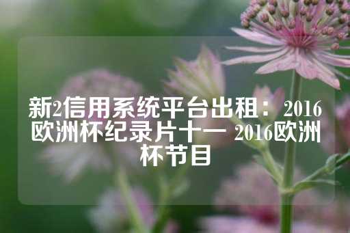 新2信用系统平台出租：2016欧洲杯纪录片十一 2016欧洲杯节目