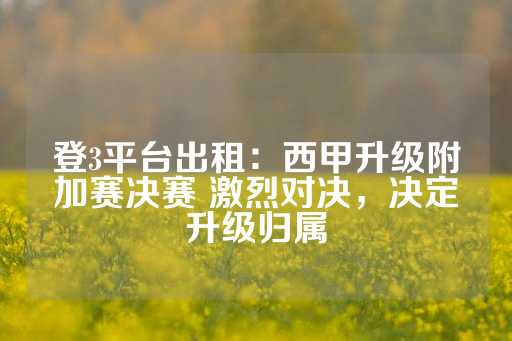 登3平台出租：西甲升级附加赛决赛 激烈对决，决定升级归属