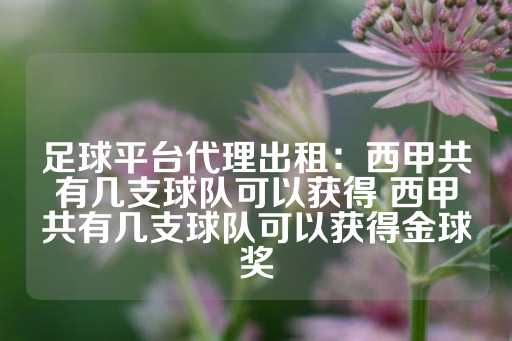 足球平台代理出租：西甲共有几支球队可以获得 西甲共有几支球队可以获得金球奖-第1张图片-皇冠信用盘出租