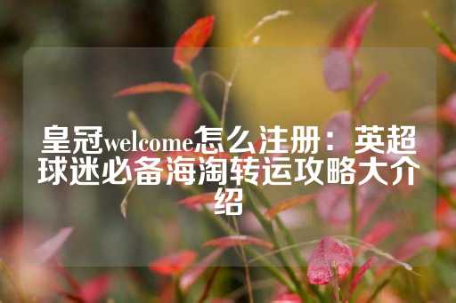 皇冠welcome怎么注册：英超球迷必备海淘转运攻略大介绍-第1张图片-皇冠信用盘出租