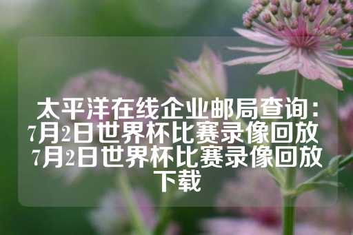 太平洋在线企业邮局查询：7月2日世界杯比赛录像回放 7月2日世界杯比赛录像回放下载-第1张图片-皇冠信用盘出租