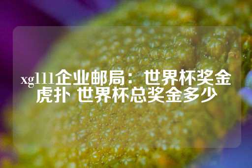 xg111企业邮局：世界杯奖金虎扑 世界杯总奖金多少